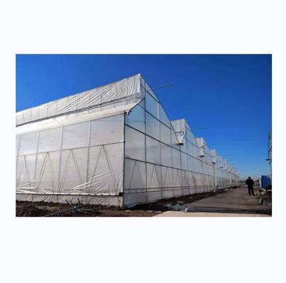 Большая теплица с пилозубыми зубами (Shine Tech Poly Tunnel Tropical Greenhouse) с вентиляцией