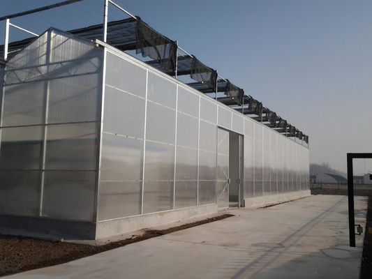 8м 9,6м 12м Ширина пролета Сельскохозяйственная теплица для гибридных семян и овощей помидоров