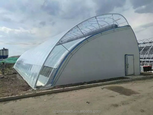 Солнечная теплица длиной 50-120 м с двойной аркой оцинкованной стальной конструкции