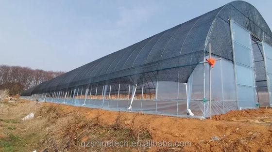 Покрытие пленки 50x8м Одноразовый сельскохозяйственный тоннельный теплица высотой 3,5-5м