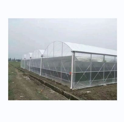150/200 микронов полиэтиленовой пленки для выращивания овощей и цветов
