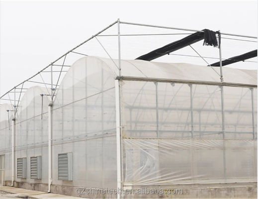 Shine Tech Greenhouse Turnkey Solution для гидропоники сельскохозяйственных томатов