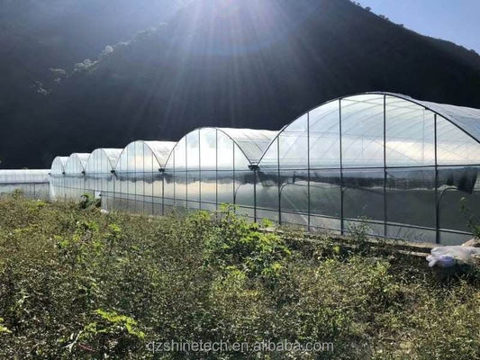 Shine Tech Greenhouse Turnkey Solution для гидропоники сельскохозяйственных томатов