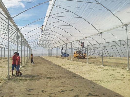 Большая теплица с пилозубыми зубами (Shine Tech Poly Tunnel Tropical Greenhouse) с вентиляцией
