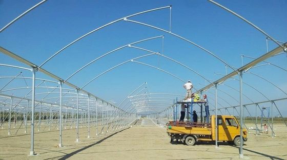 Большая теплица с пилозубыми зубами (Shine Tech Poly Tunnel Tropical Greenhouse) с вентиляцией