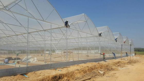 Большая теплица с пилозубыми зубами (Shine Tech Poly Tunnel Tropical Greenhouse) с вентиляцией