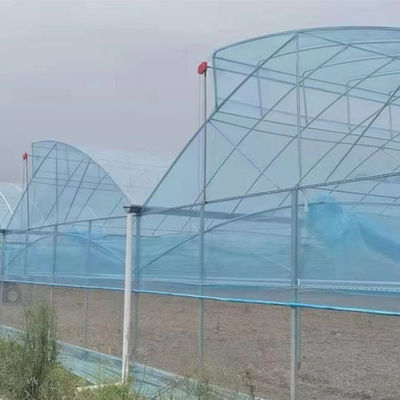 Большая теплица с пилозубыми зубами (Shine Tech Poly Tunnel Tropical Greenhouse) с вентиляцией
