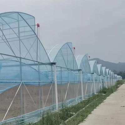 Большая теплица с пилозубыми зубами (Shine Tech Poly Tunnel Tropical Greenhouse) с вентиляцией